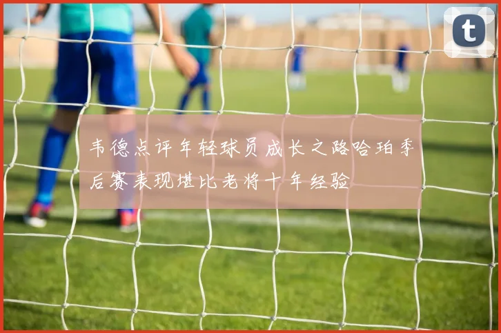 韦德点评年轻球员成长之路哈珀季后赛表现堪比老将十年经验